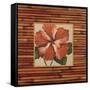 Pacific Paradise A-Judy Shelby-Framed Stretched Canvas