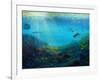 Pacific Reef, 2018-Lee Campbell-Framed Giclee Print