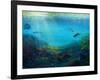 Pacific Reef, 2018-Lee Campbell-Framed Giclee Print