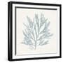 Pacific Sea Mosses I Blue-Wild Apple Portfolio-Framed Art Print