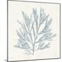 Pacific Sea Mosses I Blue-Wild Apple Portfolio-Mounted Art Print