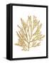 Pacific Sea Mosses I Gold-Wild Apple Portfolio-Framed Stretched Canvas