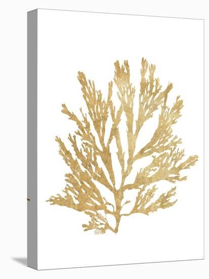 Pacific Sea Mosses I Gold-Wild Apple Portfolio-Stretched Canvas