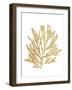 Pacific Sea Mosses I Gold-Wild Apple Portfolio-Framed Art Print