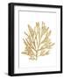 Pacific Sea Mosses I Gold-Wild Apple Portfolio-Framed Art Print