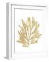 Pacific Sea Mosses I Gold-Wild Apple Portfolio-Framed Art Print