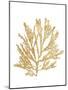Pacific Sea Mosses I Gold-Wild Apple Portfolio-Mounted Art Print