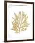 Pacific Sea Mosses I Gold-Wild Apple Portfolio-Framed Art Print