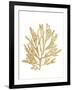 Pacific Sea Mosses I Gold-Wild Apple Portfolio-Framed Art Print
