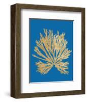 Pacific Sea Mosses II Blue-Wild Apple Portfolio-Framed Art Print
