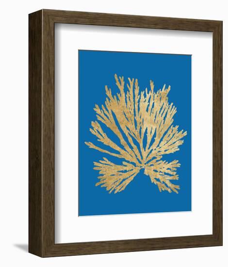 Pacific Sea Mosses II Blue-Wild Apple Portfolio-Framed Art Print