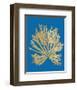 Pacific Sea Mosses II Blue-Wild Apple Portfolio-Framed Art Print