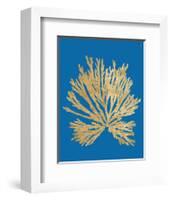 Pacific Sea Mosses II Blue-Wild Apple Portfolio-Framed Art Print