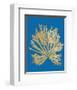 Pacific Sea Mosses II Blue-Wild Apple Portfolio-Framed Art Print