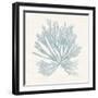 Pacific Sea Mosses II Blue-Wild Apple Portfolio-Framed Art Print