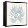 Pacific Sea Mosses II Blue-Wild Apple Portfolio-Framed Stretched Canvas