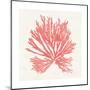 Pacific Sea Mosses II Coral-Wild Apple Portfolio-Mounted Art Print