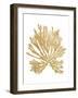 Pacific Sea Mosses II Gold-Wild Apple Portfolio-Framed Art Print