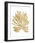 Pacific Sea Mosses II Gold-Wild Apple Portfolio-Framed Art Print