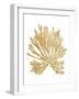 Pacific Sea Mosses II Gold-Wild Apple Portfolio-Framed Art Print