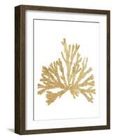 Pacific Sea Mosses IV Gold-Wild Apple Portfolio-Framed Art Print