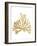 Pacific Sea Mosses IV Gold-Wild Apple Portfolio-Framed Art Print