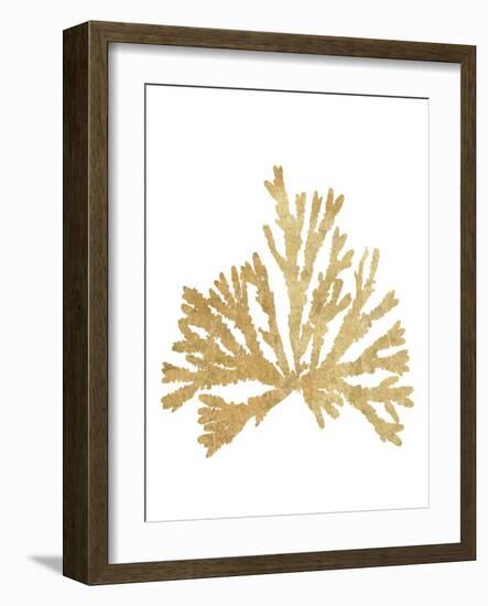 Pacific Sea Mosses IV Gold-Wild Apple Portfolio-Framed Art Print