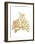 Pacific Sea Mosses IV Gold-Wild Apple Portfolio-Framed Art Print