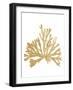 Pacific Sea Mosses IV Gold-Wild Apple Portfolio-Framed Art Print