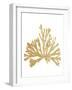 Pacific Sea Mosses IV Gold-Wild Apple Portfolio-Framed Art Print