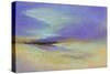 Pacific Sky-Sheila Finch-Stretched Canvas