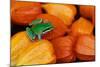 Pacific Tree Frog on Chinese Lantern Flowers-Darrell Gulin-Mounted Photographic Print