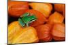 Pacific Tree Frog on Chinese Lantern Flowers-Darrell Gulin-Mounted Photographic Print