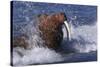 Pacific Walrus in Surf-W. Perry Conway-Stretched Canvas