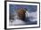 Pacific Walrus in Surf-W. Perry Conway-Framed Photographic Print