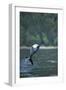 Pacific White-Sided Dolphin, BC, Canada-Paul Souders-Framed Photographic Print