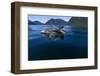 Pacific White-Sided Dolphins, BC, Canada-Paul Souders-Framed Photographic Print