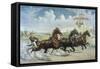 Pacing for a Grand Purse-Currier & Ives-Framed Stretched Canvas