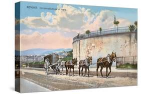 Pack Animals Hauling Cart, Genoa-null-Stretched Canvas