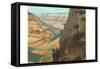 Pack Animals on Trail in Grand Canyon-null-Framed Stretched Canvas