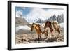 Pack Horses in the Karakorum, Pakistan-Patrick Poendl-Framed Photographic Print