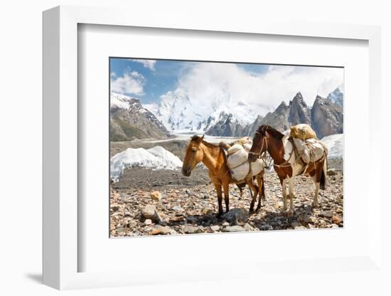 Pack Horses in the Karakorum, Pakistan-Patrick Poendl-Framed Photographic Print