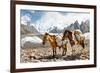 Pack Horses in the Karakorum, Pakistan-Patrick Poendl-Framed Photographic Print