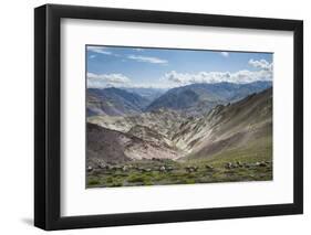 Pack Horses in the Ladakh Region, Himalayas, India, Asia-Alex Treadway-Framed Photographic Print