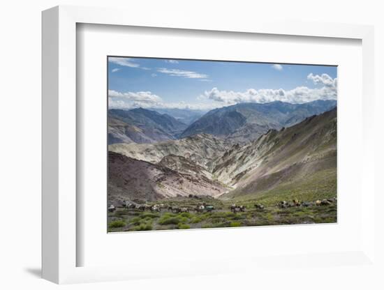 Pack Horses in the Ladakh Region, Himalayas, India, Asia-Alex Treadway-Framed Photographic Print