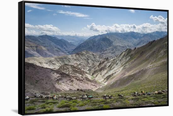 Pack Horses in the Ladakh Region, Himalayas, India, Asia-Alex Treadway-Framed Stretched Canvas