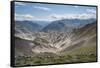 Pack Horses in the Ladakh Region, Himalayas, India, Asia-Alex Treadway-Framed Stretched Canvas