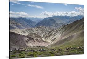 Pack Horses in the Ladakh Region, Himalayas, India, Asia-Alex Treadway-Stretched Canvas