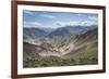 Pack Horses in the Ladakh Region, Himalayas, India, Asia-Alex Treadway-Framed Photographic Print