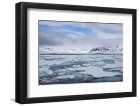 Pack Ice, and Glacier in Background, Spitsbergen, Svalbard, Norway, Scandinavia, Europe-Thorsten Milse-Framed Photographic Print